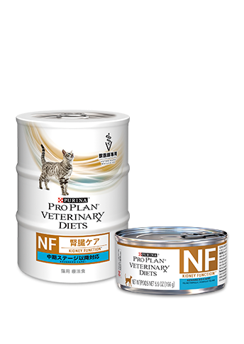 猫用 NF 腎臓ケア 中期ステージ対応 156g×3缶×2