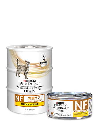 猫用 NF 腎臓ケア 初期ステージ対応 156g×3缶×2